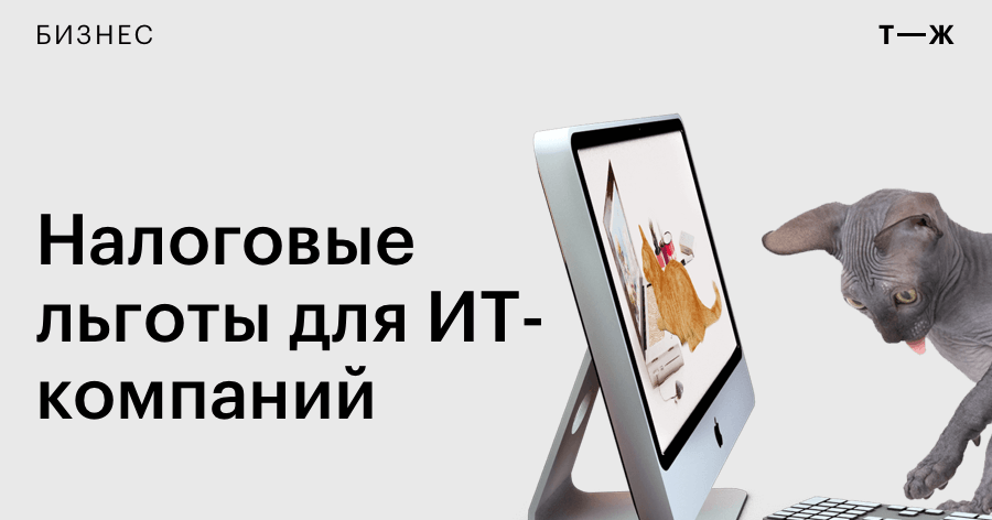 Минцифры пояснило, какие IT-компании получат новые льготы